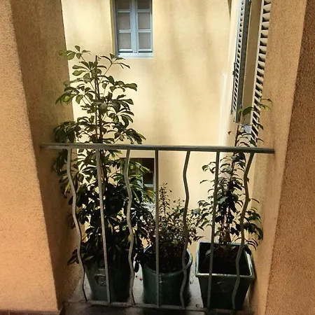 Appartement Duplex Climatise De 80m2 En Plein Coeur De La Vieille Toulon