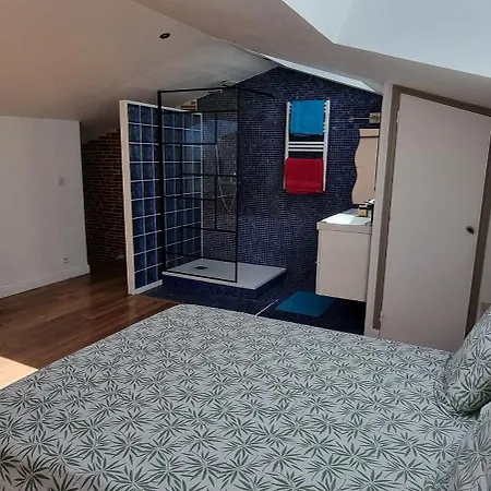 Duplex Climatise De 80m2 En Plein Coeur De La Vieille Appartement